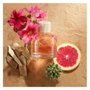Hollister CANYON ESCAPE FOR HER Eau de Parfum Vaporisateur 100 ml Femme