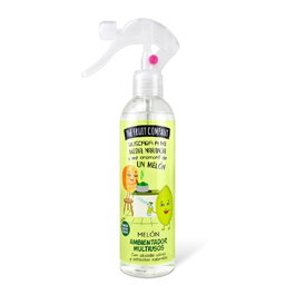 The Fruit Company Spray d'ambiance Melon 250 ml - Neutralise les odeurs, utilisable sur les tissus, parfum fruité