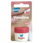 Senti2 VASELINE labial fraise 20 ml
