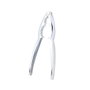 San Ignacio Cascanueces Expert 15 x 3,5 cm