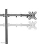 Neomounts Support de Bureau Double FPMA-D550DBLACK - Support Inclinable, Pivotant et Rotatif pour 2 Écrans jusqu'à 32" (VESA 75x75/100x100 mm)