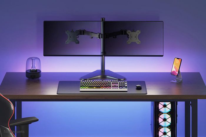 Neomounts Support de Bureau Double FPMA-D550DDBLACK pour 2 Écrans - Montage Inclinable Pivotant Rotatif jusqu'à 32", VESA 100x100, Charge 8 kg, Gestion Câbles