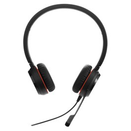 Jabra Evolve 20 Stereo / Mono Noir USB Type-A