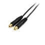 Startech Câble Mini Jack 3.5 mm Adaptateur Audio 0.15 M Mâle vers 2x Femelle Or