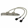 Câble USB Startech USBPLATE USB A IDC