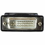 Adaptateur DVI vers VGA Startech DVIVGAMFBK Noir