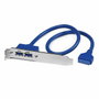 Startech Câble USB USB3SPLATE IDC Bleu