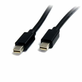 Mini câble DisplayPort Startech MDISP2M (2 m) 4K Ultra HD Noir