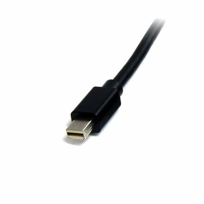 Mini câble DisplayPort Startech MDISP2M (2 m) 4K Ultra HD Noir