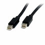 Mini câble DisplayPort Startech MDISP2M (2 m) 4K Ultra HD Noir