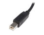 Startechcom USB2CB2M Câble USB 2.0 A mâle vers B mâle pour Imprimante, 2 mètres