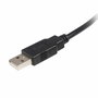 Câble USB A vers USB B Startech USB2HAB2M Noir
