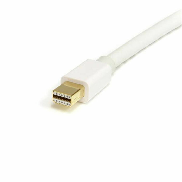 Câble Mini DisplayPort vers DisplayPort Startech MDP2DPMM2MW (2 m) Blanc 4K Ultra HD Câble Mini DisplayPort vers DisplayPort Startech MDP2DPMM2MW (2 m) Blanc 4K Ultra HD