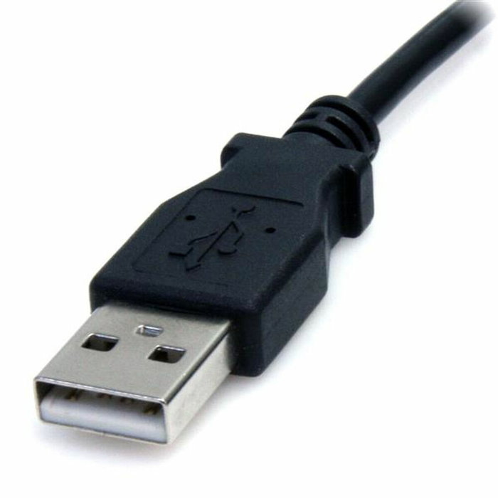 Câble USB Startech USB2TYPEM2M Noir Câble USB Startech USB2TYPEM2M Noir