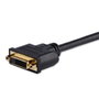 StarTech HDDVIMF8IN Adaptateur HDMI DVI-D Mâle vers Femelle Câble Intégré 20 cm