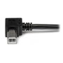 Startechcom USBAB2MR Câble Adaptateur USB 2m pour Imprimante - USB A Mâle à USB B Mâle avec Connecteur en Angle Droit