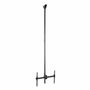 Support de TV Startech FPCEILPTBLP 50 kg 32" 75"