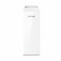 TP-Link CPE210 Point d'Accès Extérieur 2,4 GHz 300 Mbps