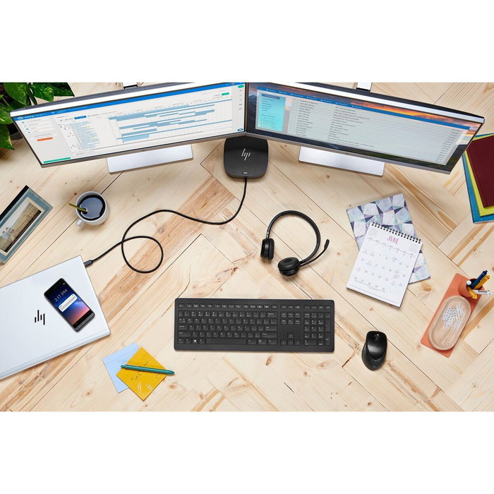 HP USB-C Dock G5 5TW10AA#ABB Noir HP USB-C Dock G5 5TW10AA#ABB Noir