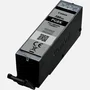 Canon Cartouche d'encre PGI-580PGBK Noir 25.7 ml pour PIXMA TR8550, TS6250, TS8250, TS9150, TS9550 et autres