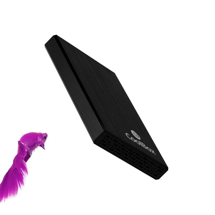 Coolbox SCA2523 Boîtier Externe HDD 2.5 Pouces USB 3.0 Aluminium Noir