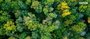 Xerox 006R04399 Cartouche de toner Noir standard pour imprimantes Xerox B230, B225, B235 - 1200 pages