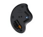 Logitech ERGO M575 Trackball sans fil Professionnel - Forme Ergonomique, Connexion Logi Bolt Secure, Pour Toutes les Tailles de Mains