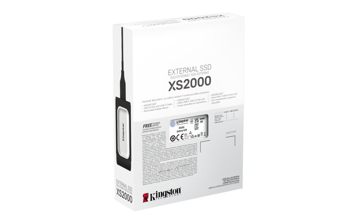 Kingston XS2000 SSD Externe 500 Go Noir et Argent
