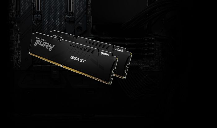 Kingston FURY Beast DDR5 - Mémoire RAM 16 Go (1 x 16 Go) 5600 MHz CL40 DIMM - Pour gaming, avec technologie ECC sur puce, Intel XMP 3.0 et AMD EXPO