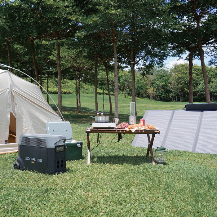 Générateur solaire portable Ecoflow DELTA Pro