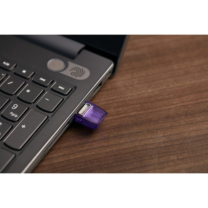 Kingston DataTraveler MicroDuo 3C 256 GB Violet Kingston DataTraveler MicroDuo 3C 256 GB Violet