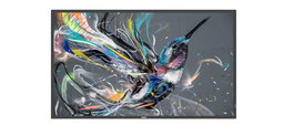 Philips Écran Professionnel 32" Full HD 1920 x 1080 avec Lecteur USB Intégré, Ports HDMI, DVI-I, USB, Ethernet et Contrôle Réseau