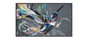 Philips Écran Professionnel 32" Full HD 1920 x 1080 avec Lecteur USB Intégré, Ports HDMI, DVI-I, USB, Ethernet et Contrôle Réseau