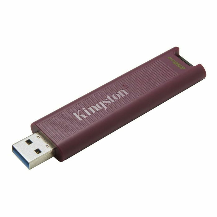 Clé USB Kingston Max Rouge 256 GB