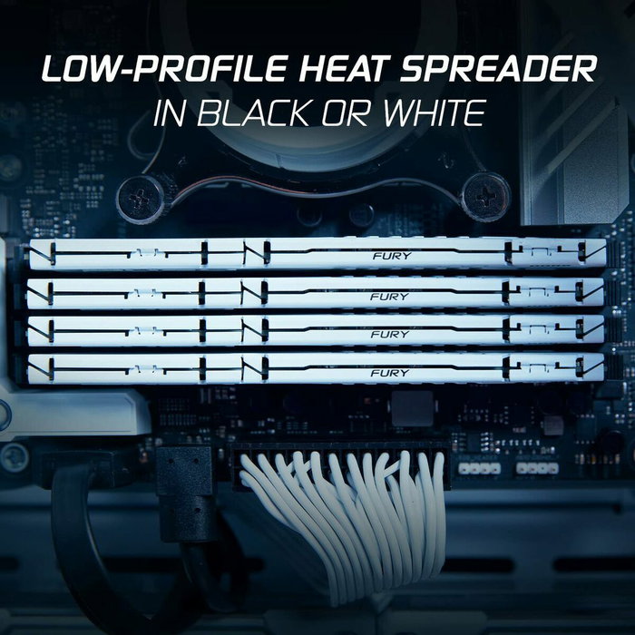 Mémoire RAM Kingston Beast 32 GB DDR5 SDRAM DDR5 5600 MHz