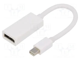 GEMBIRD Adaptateur DisplayPort socle vers mini DisplayPort prise, 0,15m, blanc