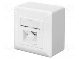 DIGITUS Prise murale RJ45 socle x2 Cat 6 blanc