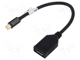 Lanberg Adaptateur Mini DisplayPort mâle vers DisplayPort femelle, 10 cm, noir