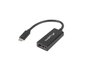 Lanberg AD-UC-DP-01 Adaptateur USB Type C vers DisplayPort, Longueur 0.15m