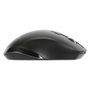Targus AMW584GL Souris Ergonomique Sans Fil Blue Trace Bluetooth