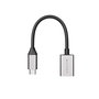 Hyper Adaptateur USB-C vers USB-A 10 Gbps USB 3.1 Gen 2, Certifié Works With Chromebook et USB-IF, Aluminium