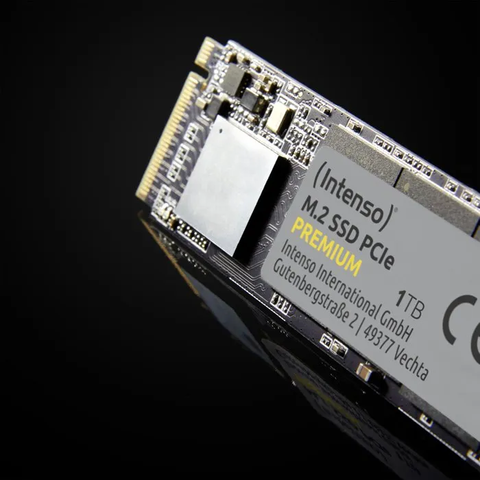 Intenso Premium SSD Interne 250 Go M.2 PCIe