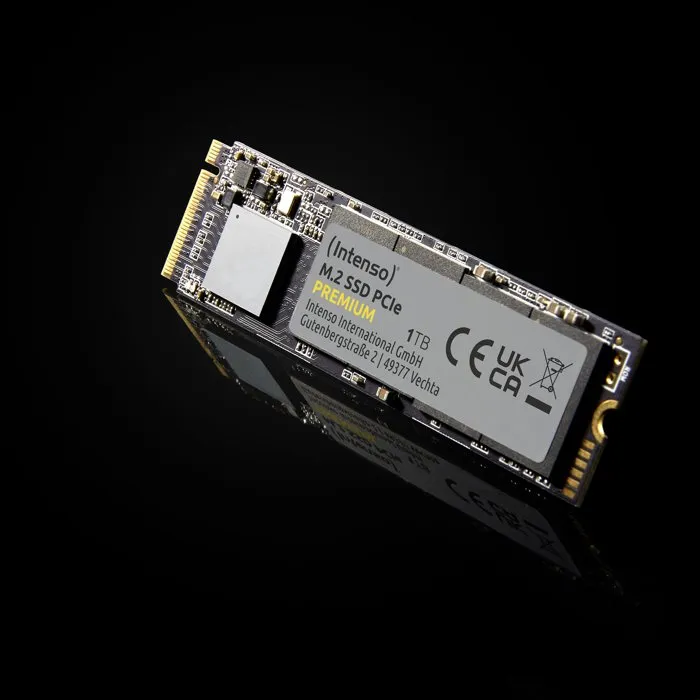 Intenso Premium SSD Interne 250 Go M.2 PCIe