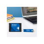 Western Digital WD Blue SA510 500 Go 2,5 pouces SATA
