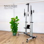 Support de TV TooQ Partenón 60-100" 60" 100" 100 kg