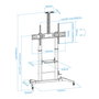 Support de TV TooQ ZEUS 60" 100" 100 kg