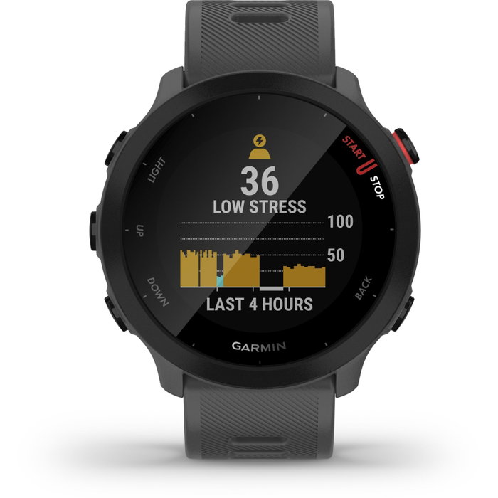 Garmin Forerunner 55 Gris Garmin Forerunner 55 Gris