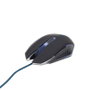 Souris GEMBIRD MUSG-001-B
