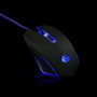 Souris GEMBIRD MUSG-001-B