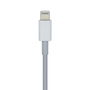 Câble USB-C vers Lightning Aisens A102-0442 Blanc 1 m